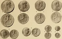 An illustration from Ta nomismata tou kratous ton Ptolemaion (1904)