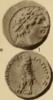 An illustration from Ta nomismata tou kratous ton Ptolemaion (1904)