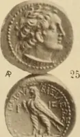 An illustration from Ta nomismata tou kratous ton Ptolemaion (1904)