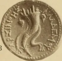 An illustration from Ta nomismata tou kratous ton Ptolemaion (1904)