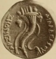 An illustration from Ta nomismata tou kratous ton Ptolemaion (1904)
