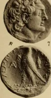 An illustration from Ta nomismata tou kratous ton Ptolemaion (1904)