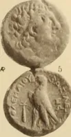 An illustration from Ta nomismata tou kratous ton Ptolemaion (1904)