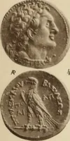 An illustration from Ta nomismata tou kratous ton Ptolemaion (1904)