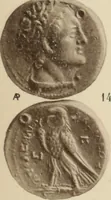 An illustration from Ta nomismata tou kratous ton Ptolemaion (1904)