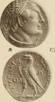 An illustration from Ta nomismata tou kratous ton Ptolemaion (1904)