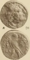An illustration from Ta nomismata tou kratous ton Ptolemaion (1904)