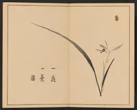 An illustration from Tansei ippan (1894)
