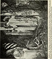 Picture 43 of 140 from Tapestries, their origin, history and renaissance (1912), leaf 146