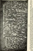 Picture 85 of 140 from Tapestries, their origin, history and renaissance (1912), leaf 316