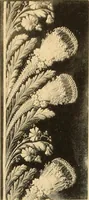 An illustration from Tapis, tissus & faïences orientales, suite des Dessins de tissus (Europe, XVIIIe & XIXe siècles) (1900)