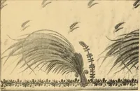 Picture 11 of 40 from Tapis, tissus & faïences orientales, suite des Dessins de tissus (Europe, XVIIIe & XIXe siècles) (1900), leaf 14