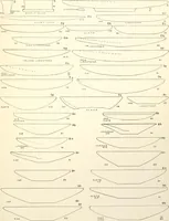 An illustration from Tarkhan I and Memphis V (1913)