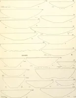 An illustration from Tarkhan I and Memphis V (1913)