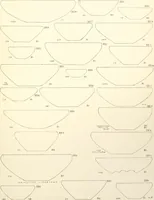 An illustration from Tarkhan I and Memphis V (1913)