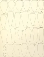 An illustration from Tarkhan I and Memphis V (1913)