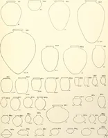 An illustration from Tarkhan I and Memphis V (1913)
