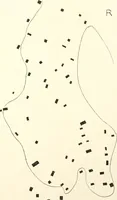 An illustration from Tarkhan I and Memphis V (1913)