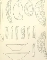 An illustration from Tarkhan I and Memphis V (1913)