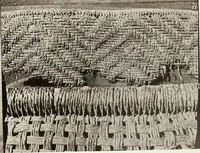An illustration from Tarkhan I and Memphis V (1913)