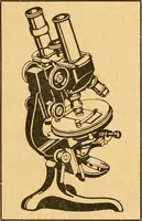 An illustration from Taschenbuch der mikroskopischen Technik : kurze Anleitung zur mikroskopischen Untersuchung der Gewebe und Organe der Wirbeltiere und des Menschen : unter Berücksichtigung der embryologischen technik (1919)