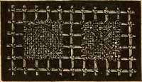 An illustration from Tatting and netting (1895)