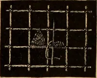 An illustration from Tatting and netting (1895)