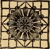 An illustration from Tatting and netting (1895)