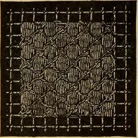 An illustration from Tatting and netting (1895)