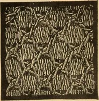 An illustration from Tatting and netting (1895)