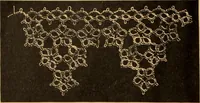 An illustration from Tatting and netting (1895)