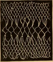 An illustration from Tatting and netting (1895)