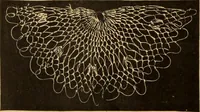An illustration from Tatting and netting (1895)