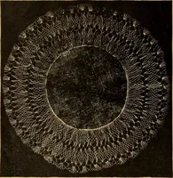 An illustration from Tatting and netting (1895)