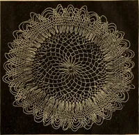 An illustration from Tatting and netting (1895)