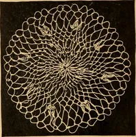 An illustration from Tatting and netting (1895)