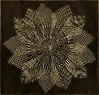 An illustration from Tatting and netting (1895)