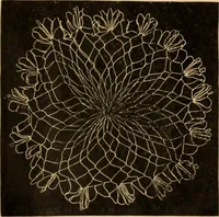 An illustration from Tatting and netting (1895)
