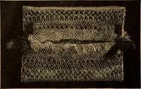 An illustration from Tatting and netting (1895)