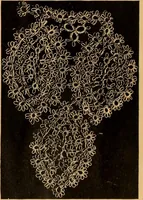 An illustration from Tatting and netting (1895)