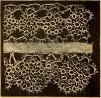 An illustration from Tatting and netting (1895)