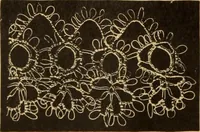 An illustration from Tatting and netting (1895)