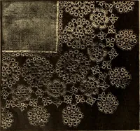 An illustration from Tatting and netting (1895)