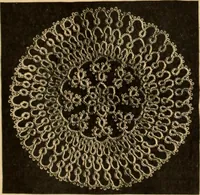 An illustration from Tatting and netting (1895)