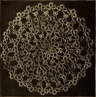 An illustration from Tatting and netting (1895)