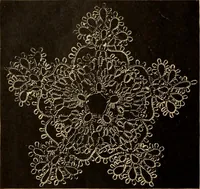 An illustration from Tatting and netting (1895)