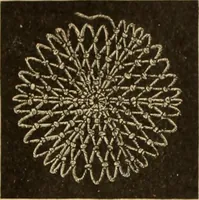 An illustration from Tatting and netting (1895)