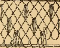 An illustration from Tatting and netting (1895)