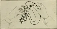 An illustration from T.B.C. instructions and designs for tatting (1916)