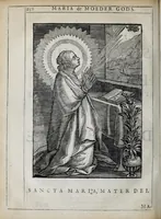 Picture 28 of 46 from 'tBosch der eremyten ende eremitinnen, van Aegypten ende Palestinen (1644), leaf 268